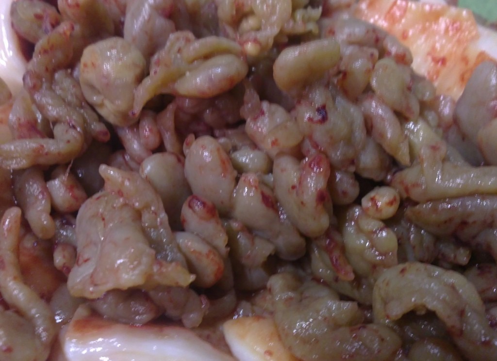 Detail of the cyst content.