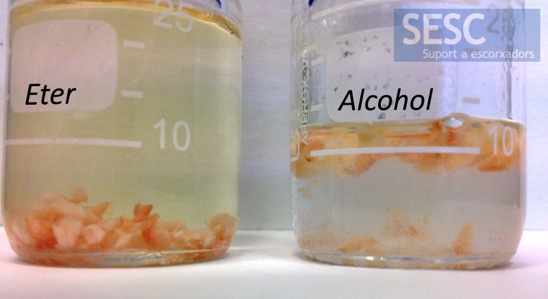 Al depositar fragmentos de tejido adiposo en alcohol y éter se observa como el éter vira a una coloración amarillenta mientras que esto no ocurre con el alcohol, indicando que se trata de pigmentos carotenoides.