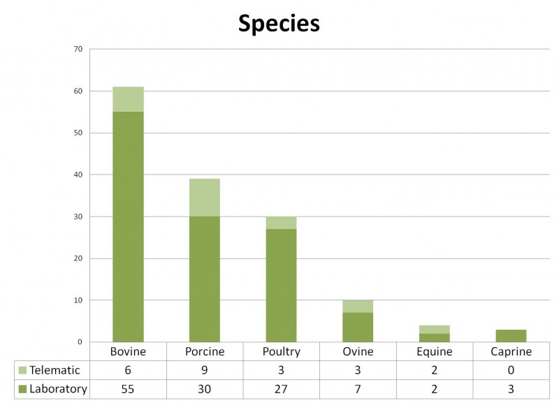 Distribution by species of the queries arrived to SESC. The cattle sector, once again, is the onw which submits more samples, especially for diagnostic confirmation of zoonoses such as Tuberculosis and bovine cysticercosis. The pig sector is the one with the largest number of purely telematics queries. Most poultry samples were submitted to confirm Marek's disease.