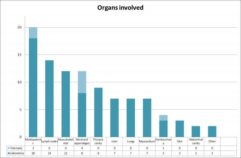 Organs distribution of the inquiries received. Within the category of multisystemic we allocated, for example, samples to confirm Marek’s disease. Most samples of muscle/myocardium were submitted to confirm a diagnosis of cysticercosis.