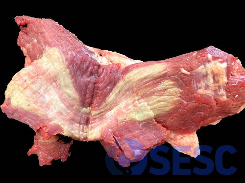 Múscul de boví. A la secció del múscul (localització no informada) s’observen estries multifocals coalescents d’extensió àmplia, de coloració blanquinosa a lleugerament verdosa. 