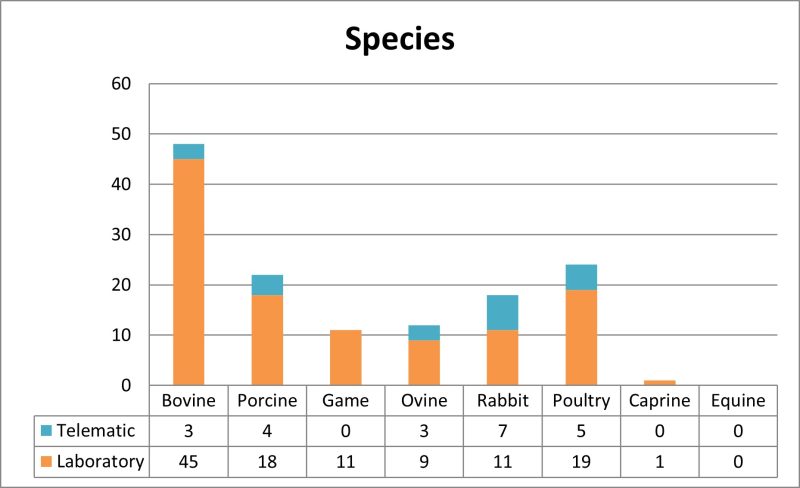 Distribution by species of inquiries received at the SESC. The cattle sector, once again, is the one that provides the most samples, especially for the confirmation of diagnosis of zoonoses such as tuberculosis and bovine cysticercosis. Compared to previous years, there has been a significant increase in poultry and rabbit inquiries, and the absence of goat and equine inquiries stands out.