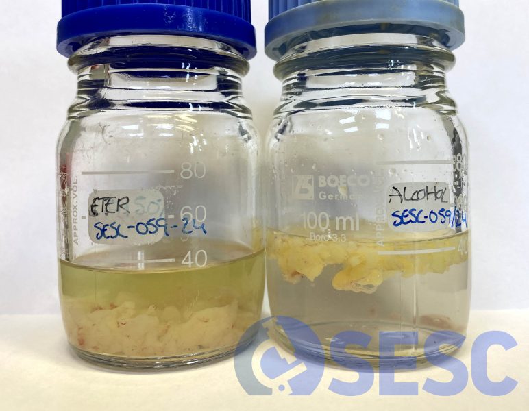 Prova de l’alcohol-èter a partir de teixit adipós de la canal afectada. Passades dues hores, els pigments carotenoides han difós a l’èter. En canvi, l’absència de coloració a la prova de l’alcohol descarta que aquest sigui un cas d’icterícia (la bilirubina és soluble a l’alcohol). 