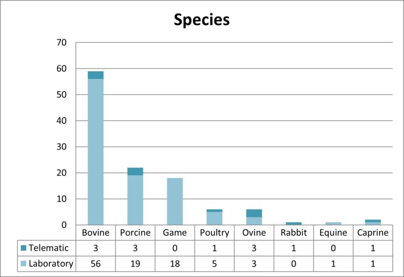 Distribution by species of consultations received at the SESC. The bovine sector, once again, is the one that provides the most samples, especially for the confirmation of diagnosis of zoonoses such as tuberculosis and bovine cysticercosis. As in previous years, hunting consultations have increased, in particular for wild boar, mainly due to the confirmation of findings compatible with tuberculosis lesions.