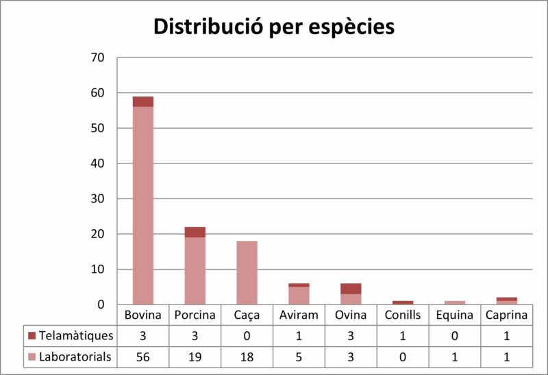 Distribució per espècies de les consultes arribades al SESC. El sector boví, un any més, és el que aporta més mostres, sobretot per a la confirmació de diagnòstic de zoonosis com la tuberculosi i la cisticercosi bovina. Com en anys anteriors han augmentat les consultes de caça, en particular de porc senglar majoritàriament per la confirmació de troballes compatibles amb lesions tuberculoses.