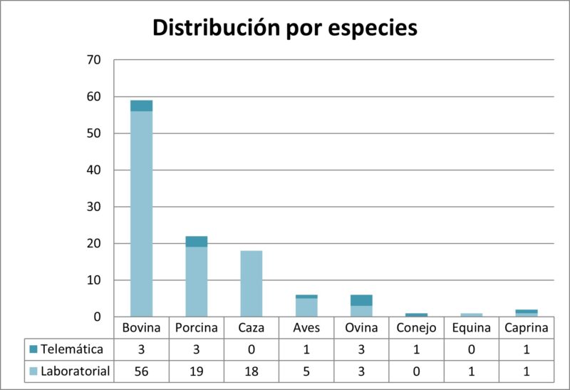 Distribución por especies de consultas llegadas al SESC. El sector vacuno, un año más, es el que más muestras aporta, sobre todo para la confirmación de diagnóstico de zoonosis como la tuberculosis y la cisticercosis bovina. Como en años anteriores han aumentado las consultas de caza, en particular de jabalí mayoritariamente por la confirmación de hallazgos compatibles con lesiones tuberculosas.